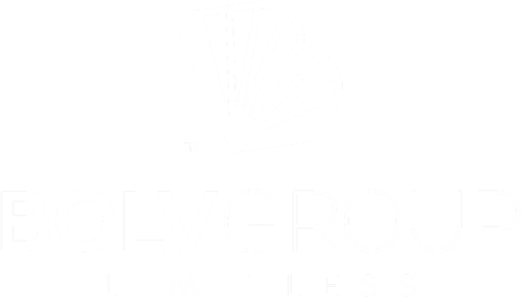 BOLV Group